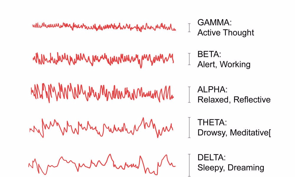 Alpha, beta, gamma: The language of brainwaves - New Scientist