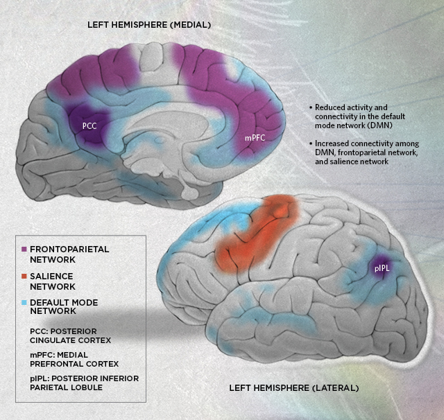 Psychedelics Effects on the Brain
